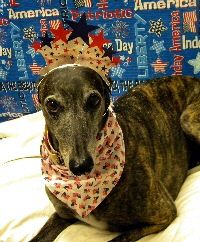 Daisy July 10.jpg